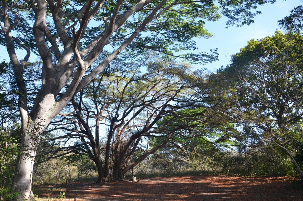 Pousada Terras Do Poente Vale do Capao Eksteriør billede